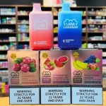 【5000口】LANA BAR 大容量拋棄式電子煙 | 台灣現貨