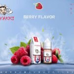 【小煙煙油】HYAKKI | 日系哈婭崎 | 可愛包裝 x 果汁系口糧